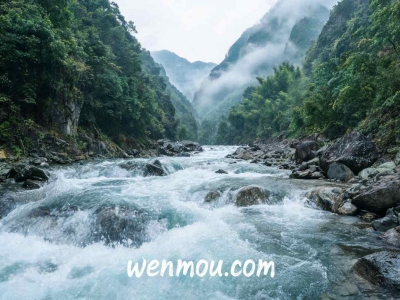 忙到没空思考，是职场生存的隐形杀手：别让无意义的勤奋毁了你